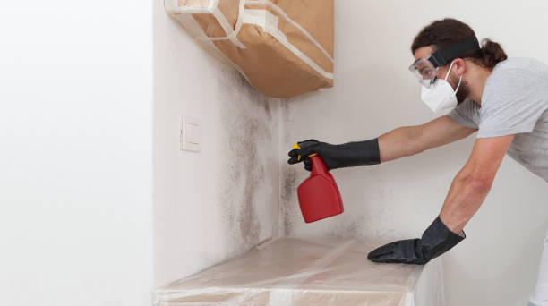 Professional Bathroom Mold Removal technician working in Red Feather Lakes, CO
